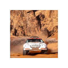 Lorenzo Delladio / Guido Guerrini - Dakar Classic 2026