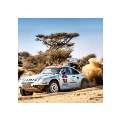 Lorenzo Delladio / Guido Guerrini - Dakar Classic 2026