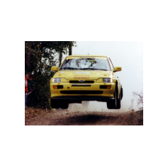 Claudio Fior / Maurizio Tiveron - Avianorally 1993