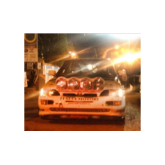 Albano Frassineti / Fabio Villa - Rallylegend 2015