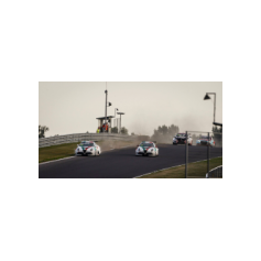 Fabrizio Giovanardi e Kevin Ceccon - WTCR 2018 - Slovakia Ring (SVK)