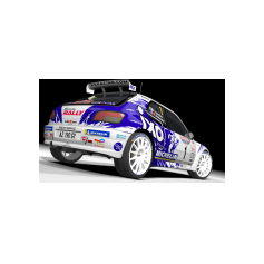 Peugeot 306 Maxi IKE Racing 2026 - François Delecour / Fabrice Gordon - Fabrice Gordon - Rallye Elba Storico 2026