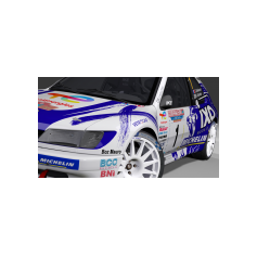 Peugeot 306 Maxi IKE Racing 2026 - François Delecour / Fabrice Gordon - Fabrice Gordon - Rallye Elba Storico 2026