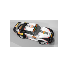 Lorenzo Delladio / Guido Guerrini - Dakar Classic 2026 - Proposta #1 "Pirelli" - Variante colore bianco/nero/rosso