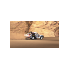 Lorenzo Delladio / Guido Guerrini - Dakar Classic 2026 - Proposta #1 "Pirelli" - Variante colore bianco/nero/rosso