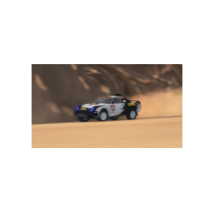Lorenzo Delladio / Guido Guerrini - Dakar Classic 2026 - Proposta #1 "Pirelli" - Variante colore bianco/nero/giallo