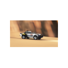 Lorenzo Delladio / Guido Guerrini - Dakar Classic 2026 - Proposta #1 "Pirelli" - Variante colore bianco/nero/giallo