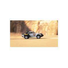 Lorenzo Delladio / Guido Guerrini - Dakar Classic 2026 - Proposta #1 "Pirelli" - Variante colore bianco/nero/giallo