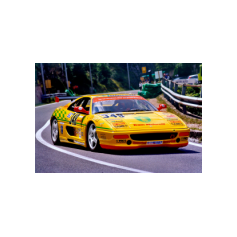 Abramo Antonicelli - Trofeo Luigi Fagioli 2002