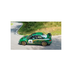 Stefano Avandero / Giuseppe Tricoli - Rally Lana Storico 2025