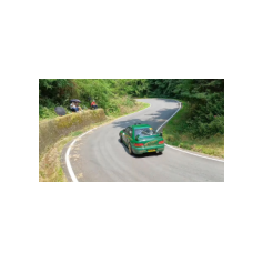 Stefano Avandero / Giuseppe Tricoli - Rally Lana Storico 2025