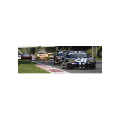 Adriano Baso - Campionato Italiano GT 2003 - Monza