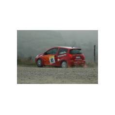 Giuseppe Berretti / Massimo Bianchini - Rally di San Crispino 2004