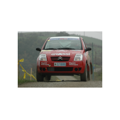 Giuseppe Berretti / Massimo Bianchini - Rally di San Crispino 2004
