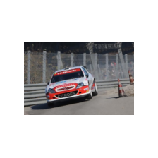Elwis Chentre / Roberto Mometti - Monza Rally Show 2008