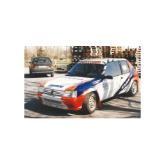 Ivan Cristofoli / Alberto Benatti, Peugeot 205 Rallye gr.A