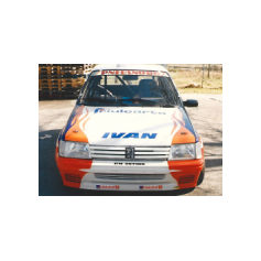 Ivan Cristofoli / Alberto Benatti, Peugeot 205 Rallye gr.A