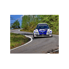 François Delecour / Fabrice Gordon - IKE Racing Test Day - Vendersi, Albera Ligure (AL) 17 Aprile 2026