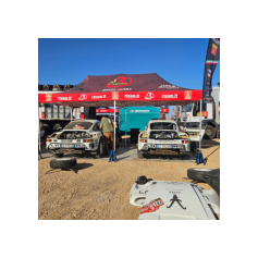 Dakar Classic 2026, Saudi Arabia - Verifiche