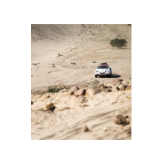 Lorenzo Delladio / Guido Guerrini - Dakar Classic 2026