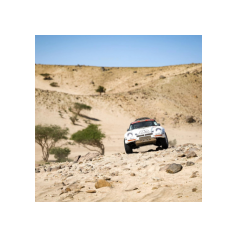 Lorenzo Delladio / Guido Guerrini - Dakar Classic 2026