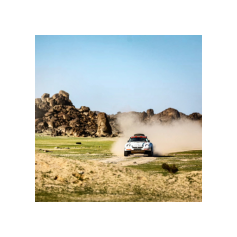 Lorenzo Delladio / Guido Guerrini - Dakar Classic 2026