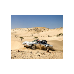 Lorenzo Delladio / Guido Guerrini - Dakar Classic 2026