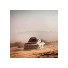 Lorenzo Delladio / Guido Guerrini - Dakar Classic 2026