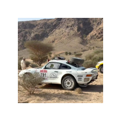 Lorenzo Delladio / Guido Guerrini - Dakar Classic 2026