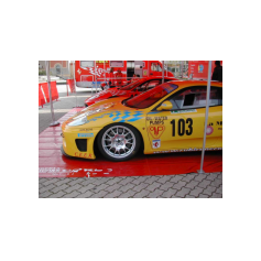 Riccardo Errani - Predappio/Rocca delle Caminate 2004