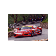 Stivi Gerardo - Monte Erice 2007