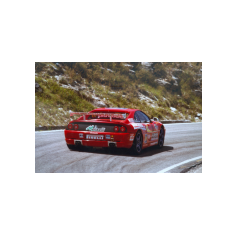 Leo Isolani - Coppa Paolino Teodori 2000