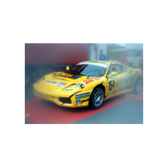 Leo Isolani - Coppa Selva di Fasano 2001