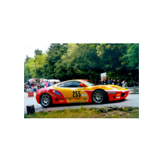 Leo Isolani - Monte Erice 2002