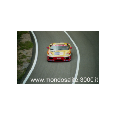 Leo Isolani - Predappio/Rocca delle Caminate 2002