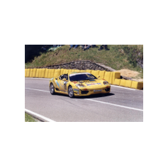 Leo Isolani - Verzegnis/Sella Chianzutan 2001