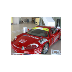 Stefano Pierdomenico - Esposizione Busco Piscine, Ancona, Febbraio 2006