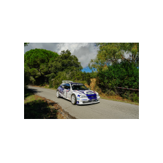 Matteo Ricaldone / Alessandro Floris - Rallye Elba Storico 2025