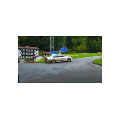 Andrea Romano / Mauro Pontoni - Rally Alpi Orientali Historic 2018