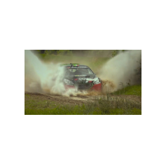 Alessandro Bettega - Yokohama Rally Experience 2018