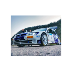 "Zippo" / Denis Piceno - Rally de Asturias Histórico 2025 (Shake Down)
