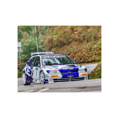 "Zippo" / Denis Piceno - Rally de Asturias Histórico 2025 (Shake Down)
