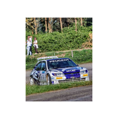 "Zippo" / Denis Piceno - Rally de Asturias Histórico 2025