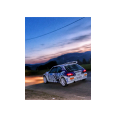 "Zippo" / Denis Piceno - Rally de Asturias Histórico 2025