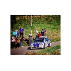 "Zippo" / Denis Piceno - Rally de Asturias Histórico 2025