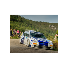 "Zippo" / Denis Piceno - Rally de Asturias Histórico 2025