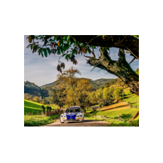 "Zippo" / Denis Piceno - Rally de Asturias Histórico 2025