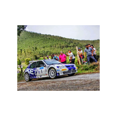 "Zippo" / Denis Piceno - Rally de Asturias Histórico 2025