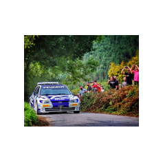 "Zippo" / Denis Piceno - Rally de Asturias Histórico 2025