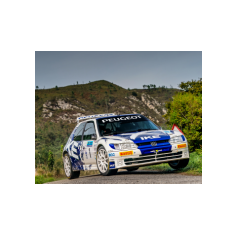 "Zippo" / Denis Piceno - Rally de Asturias Histórico 2025